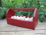 red-egg-box-single.JPG